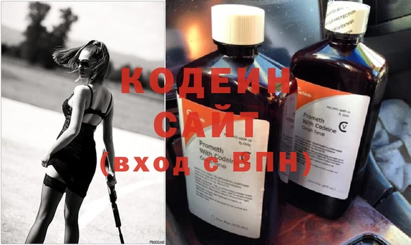 крисы Лабытнанги